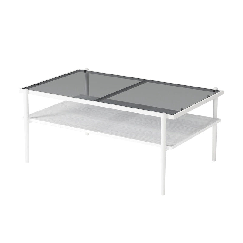 Rectangular Tempered Glass Top Coffee Table with Metal Legs and Lower Shelf, Gray