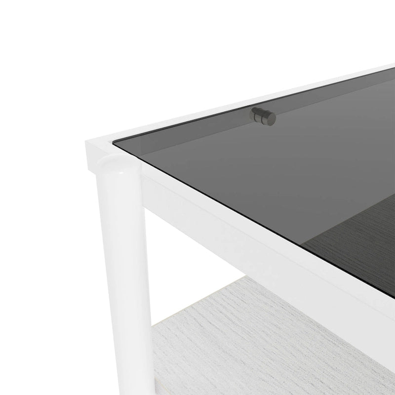 Rectangular Tempered Glass Top Coffee Table with Metal Legs and Lower Shelf, Gray